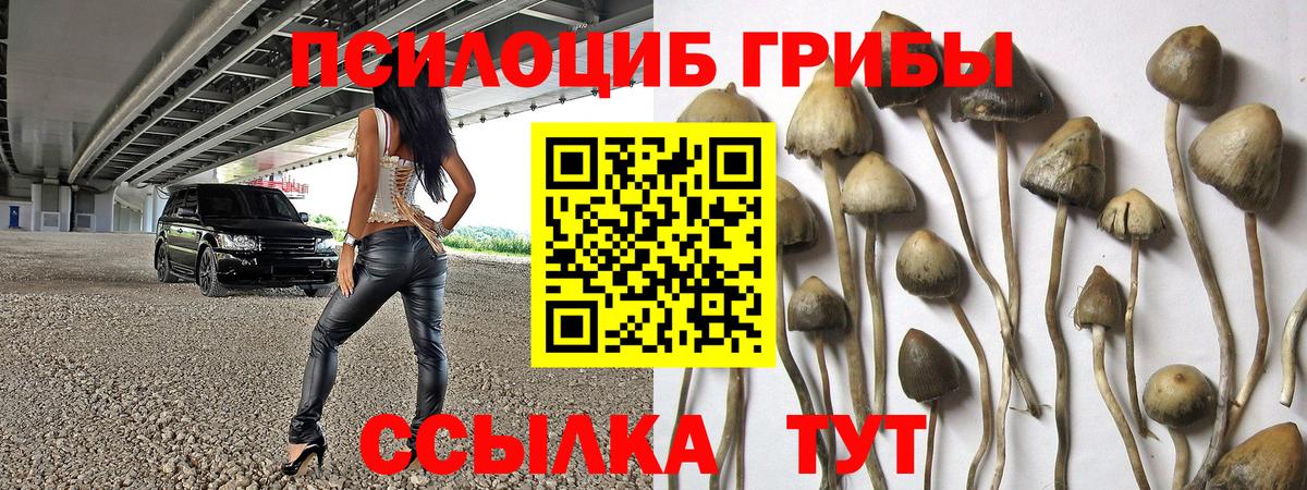 Псилоцибиновые грибы ЛСД Соль-Илецк
