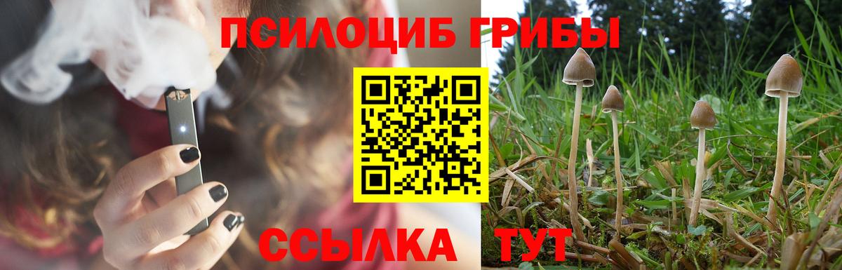 Соль-Илецк  Галлюциногенные грибы ЛСД  Вход с VPN 